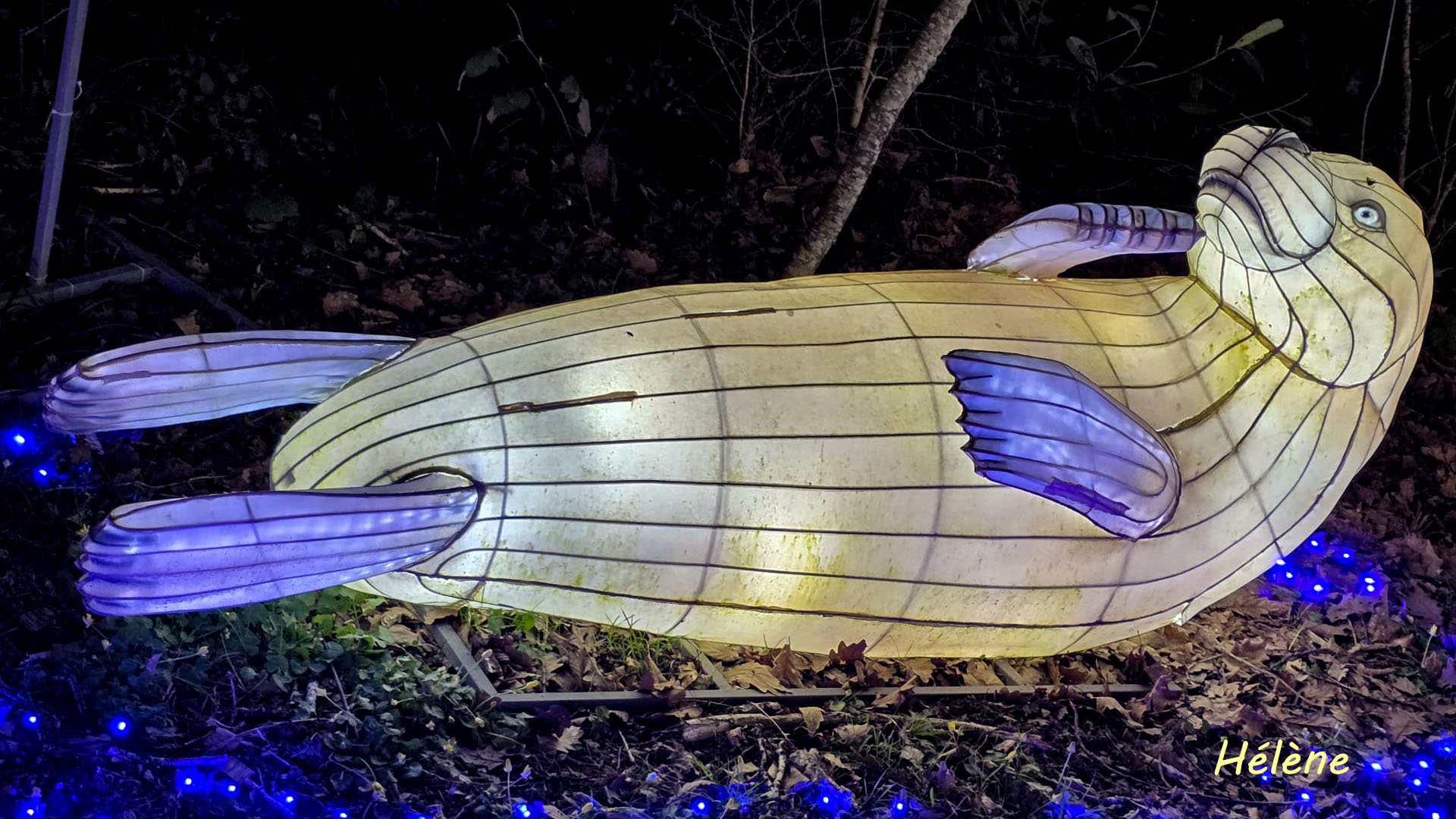 THOIRY -Illumination ,  Lumières sauvages 2025-2026